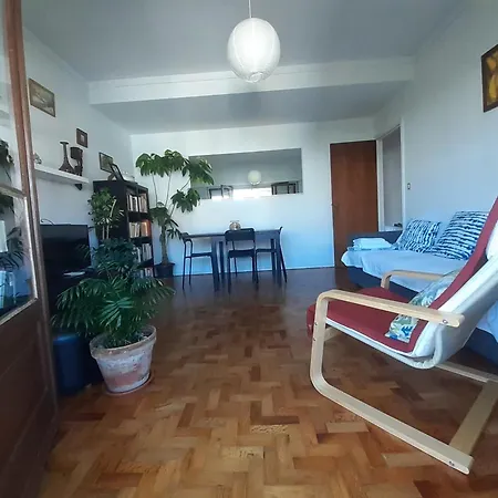 Fonte Nova - Pet Friendly *